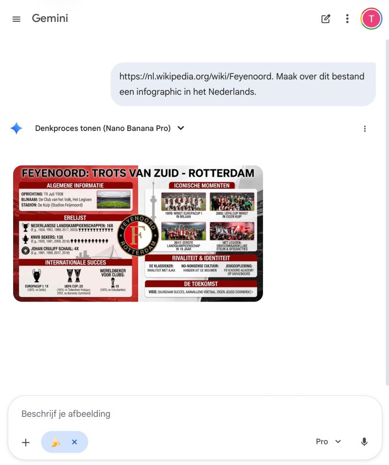 Infographic gemaakt met Gemini